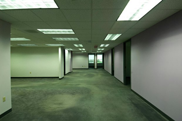 Spacious empty office with fluorescent lights, ready for leasing or renovation.
